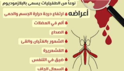 كارثة صحية تتسع: فشل خطة الطوارئ يهدد حياة السودانيين ..!